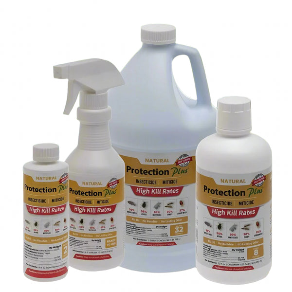 Protection Plus Insecticide bottles