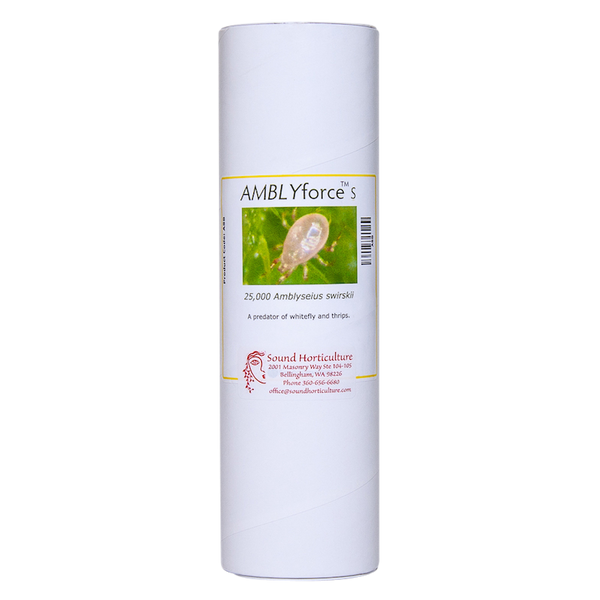 Amblyseius swirskii 25k tube