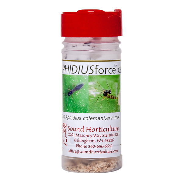 Aphidius mix