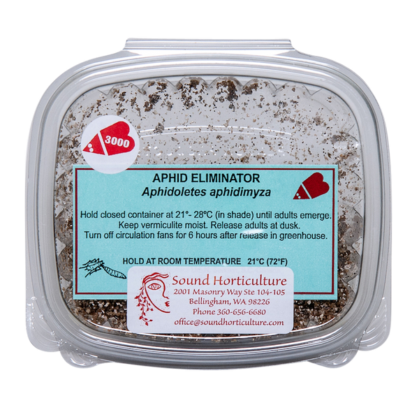 Aphidoletes aphidimyza 3k tray