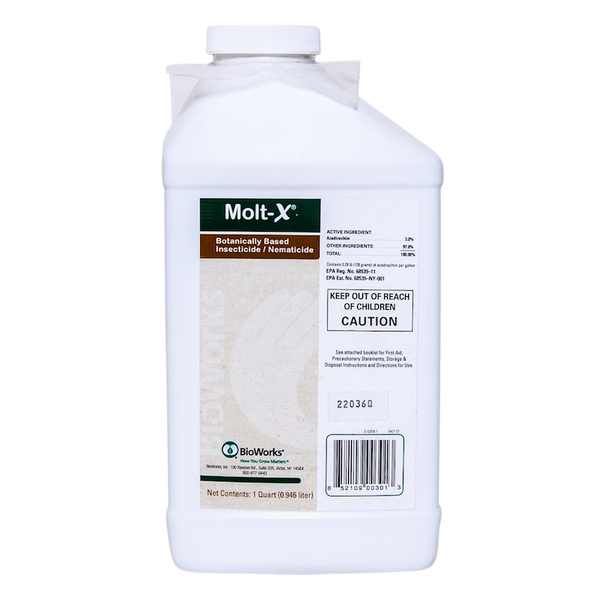Molt-X Container