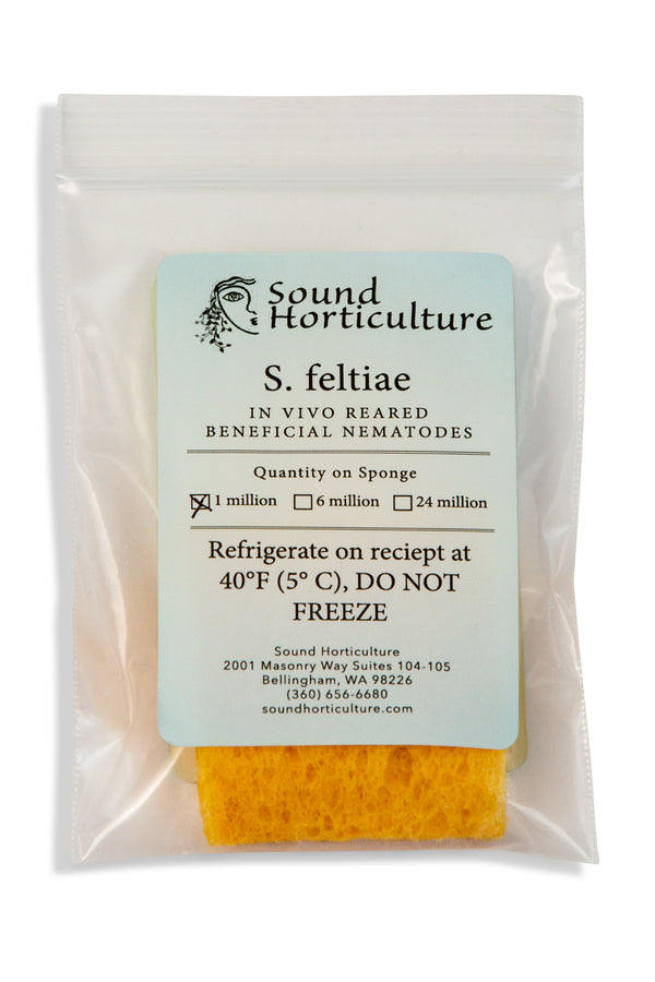 Nematode S feltiae package of 1 million