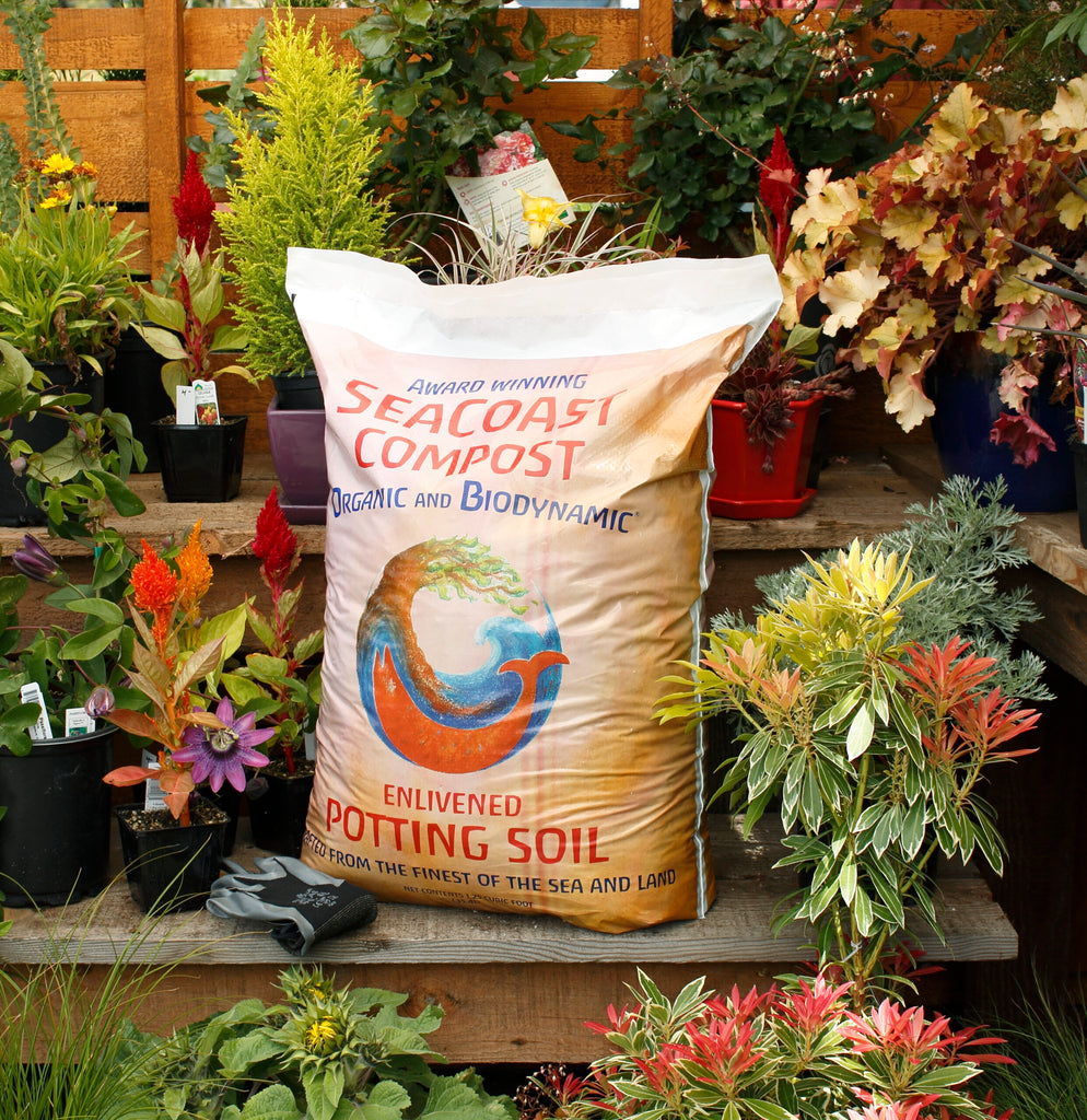SeaCoast Enlivened Potting Soil |  sound-horticulture.myshopify.com