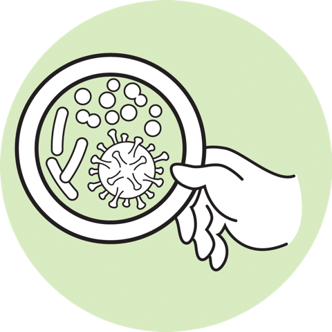 Black Spot Control