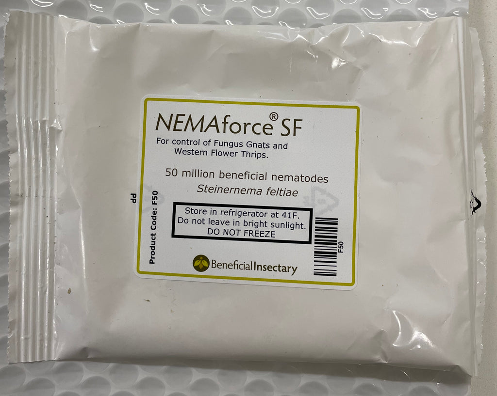 50 mil bag of Steinernema feltiae