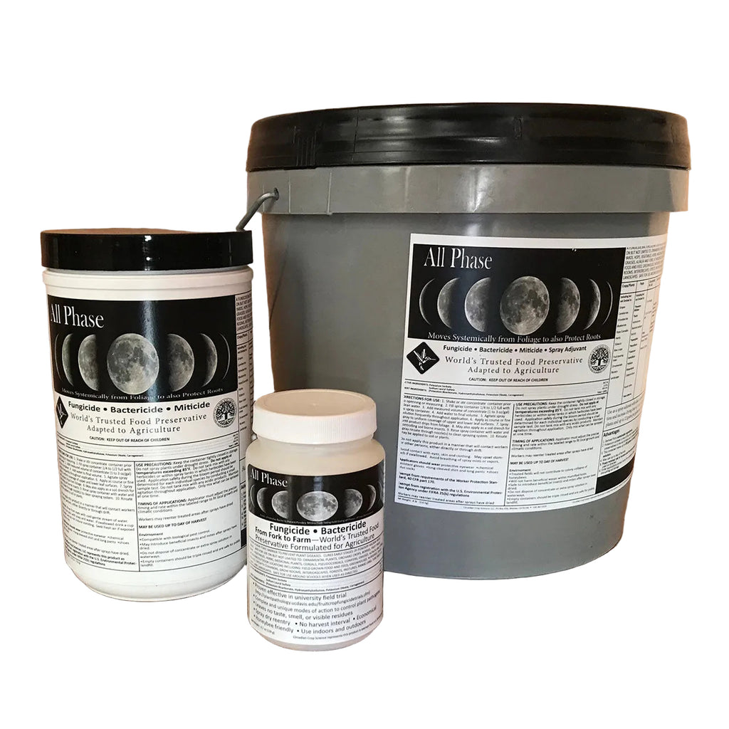 Three containers of 'All Phase' fungicide product on a wooden surface