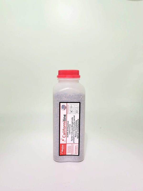 PerCal Mix - Persimilis & Californicus Predatory Mites |  sound-horticulture.myshopify.com