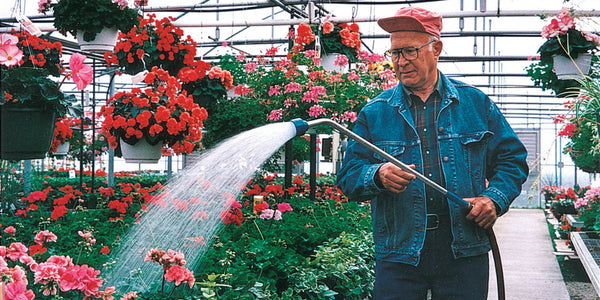 Man watering plants in a greenhouse filled with flowers