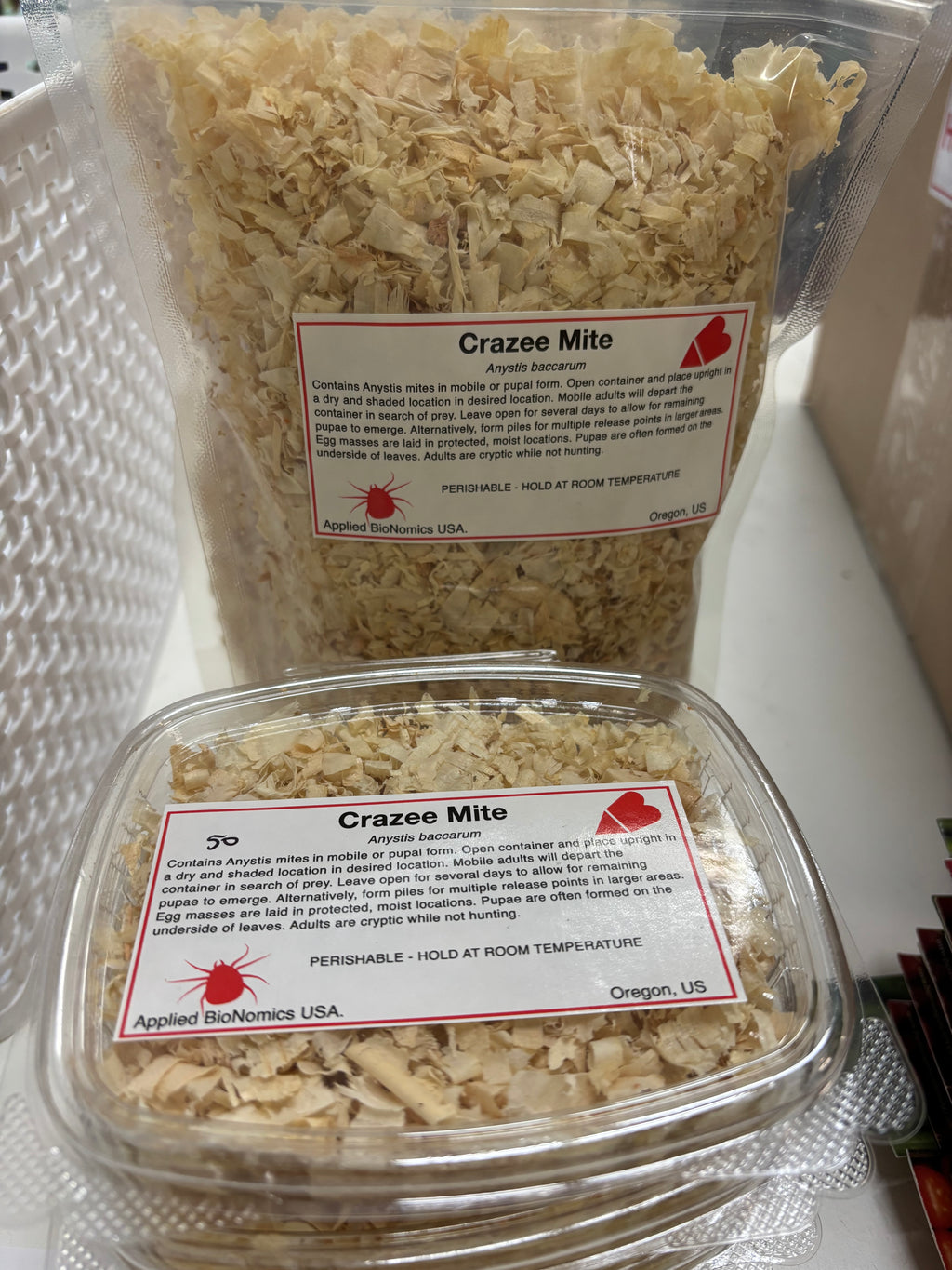 bag and tray of crazy mites - Anystis baccarum