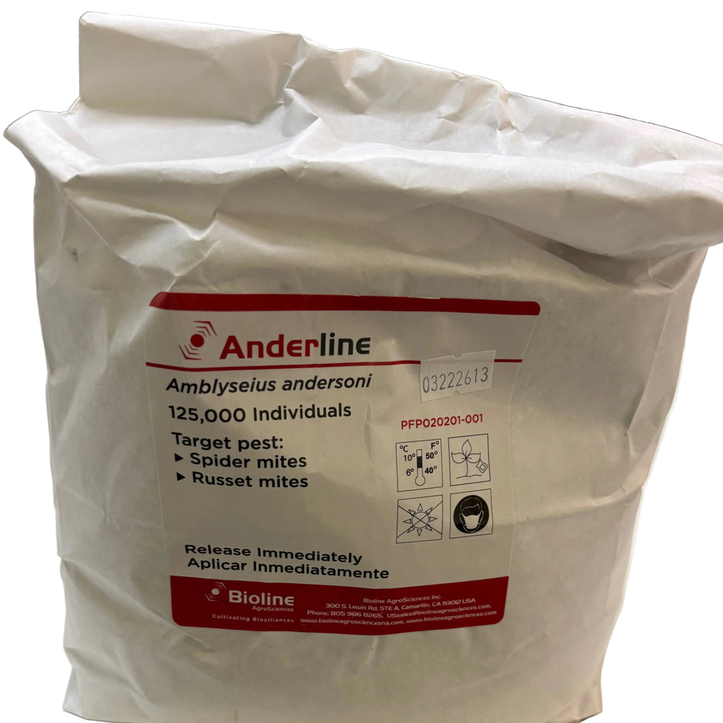 bag of Amblyseius andersoni 125k