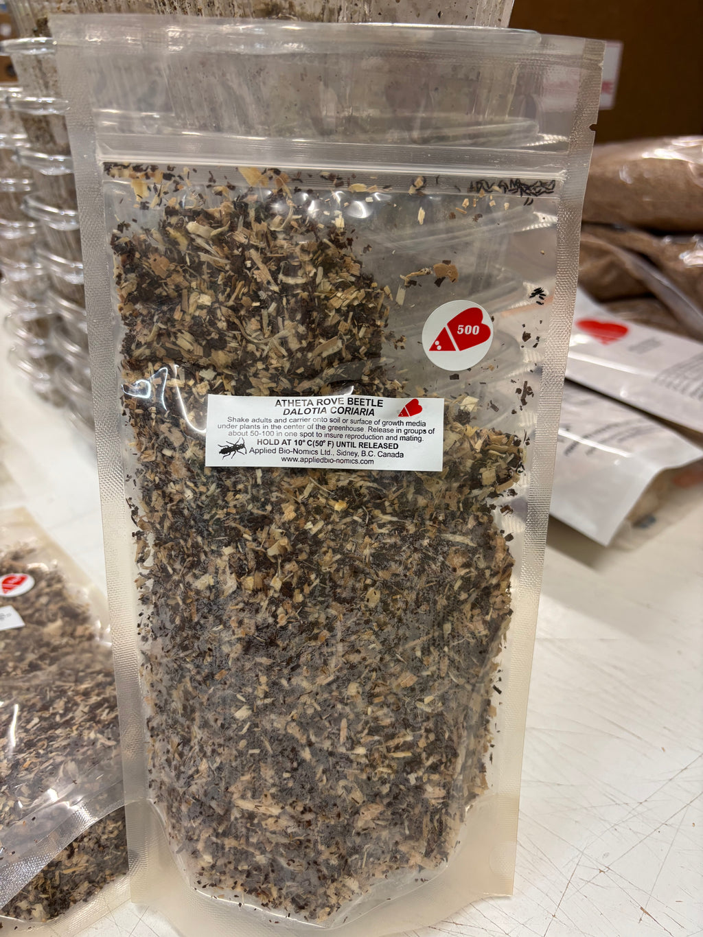 bag of dalotia rove beetle 500 ct. 