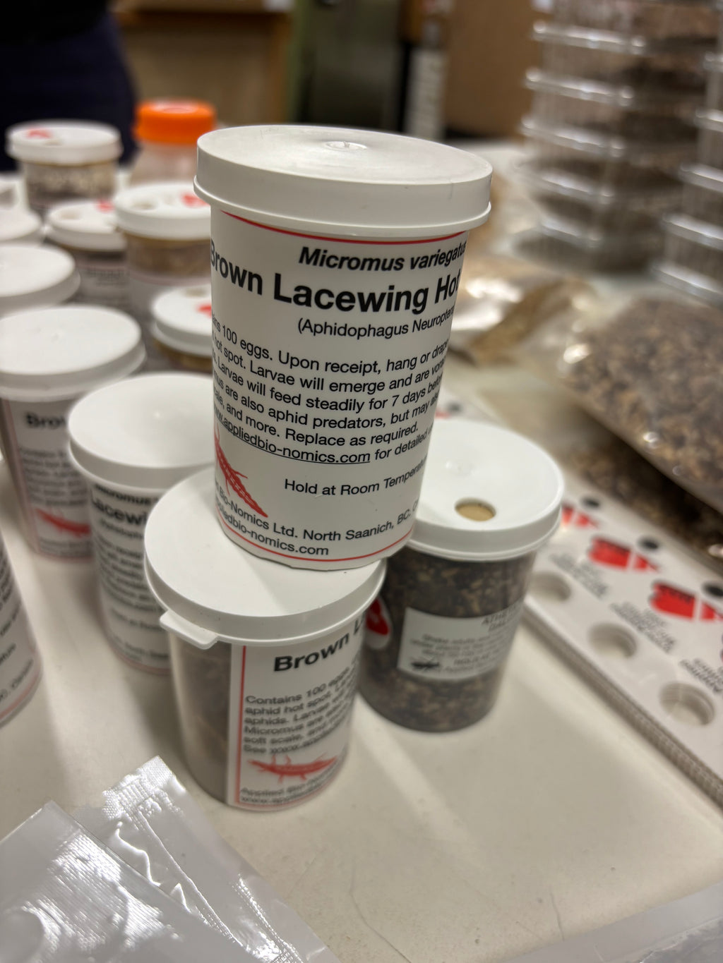 white containers with brown lacewings