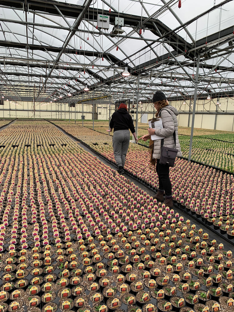 Learn From Our Experts