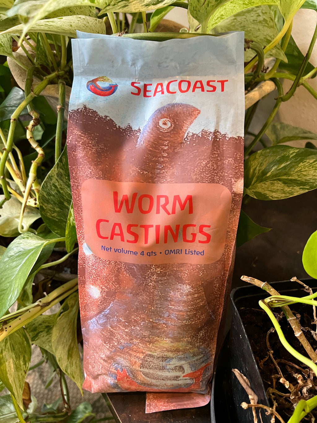 Seacoast Worm Castings 4 qt package on a bed of green leaves