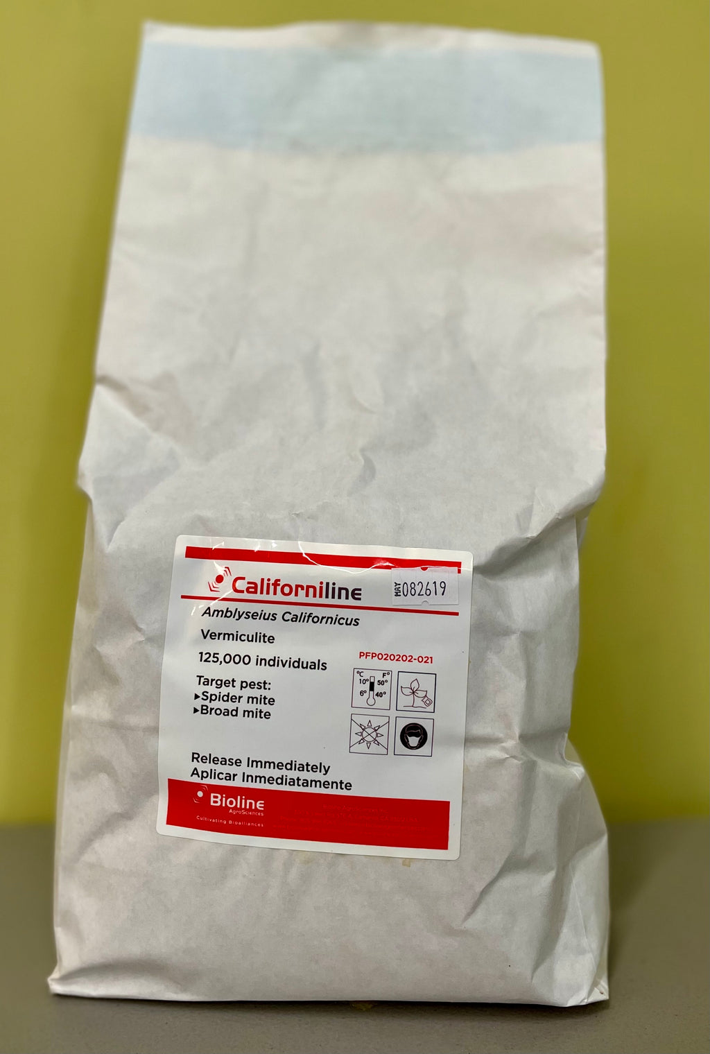 white bag with 125k Amblyseius californicus