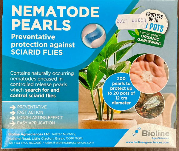 Box of Nematode Pearls for preventing sciarid flies with product details and branding.