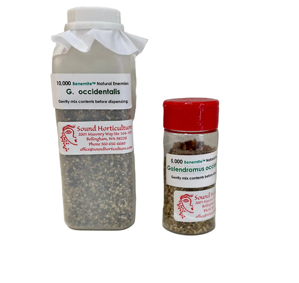 Bottles containing Galendromus occidentalis