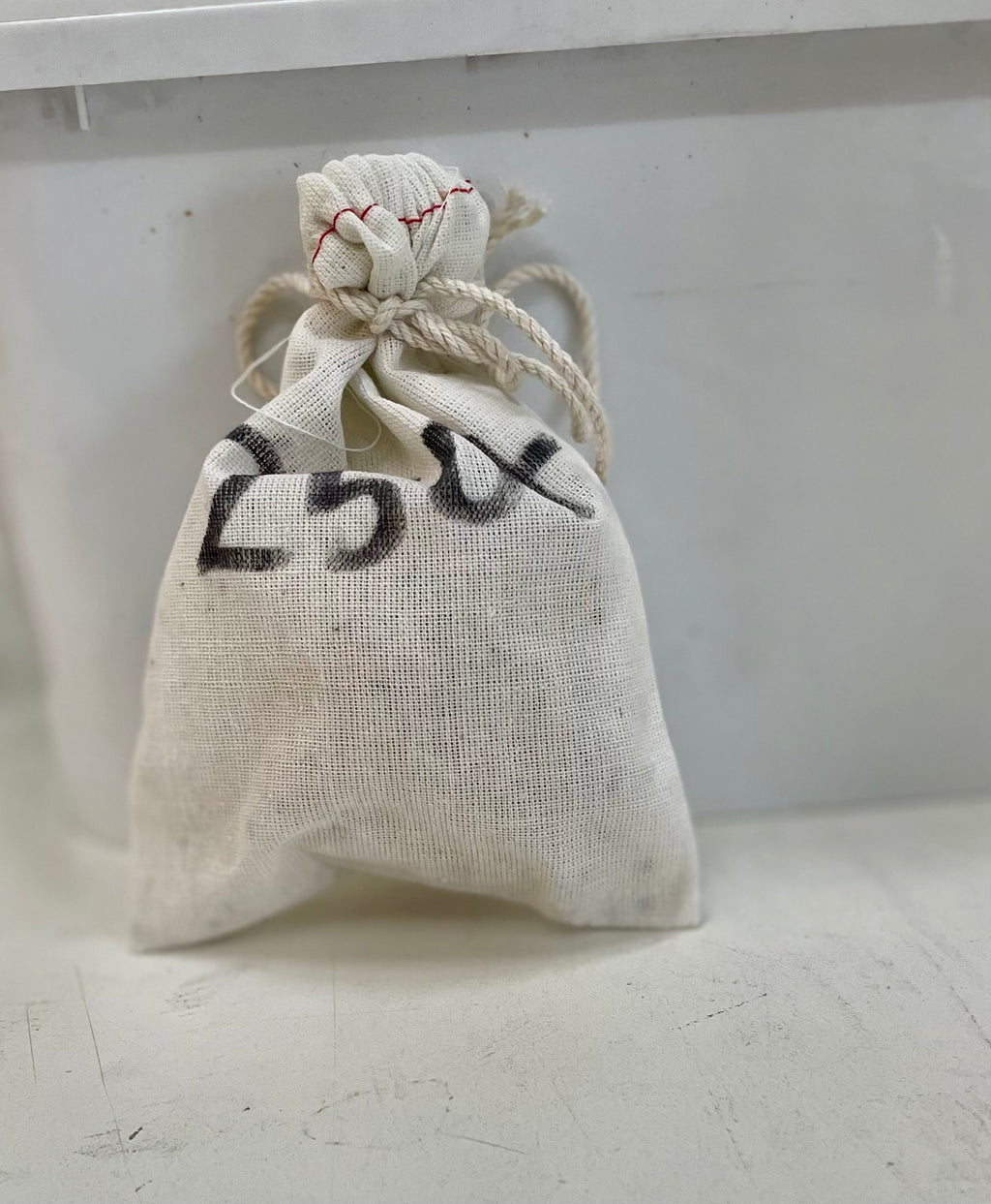 small fabric bag containing Rhyzobius