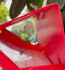 red delta trap and lure for mealybug