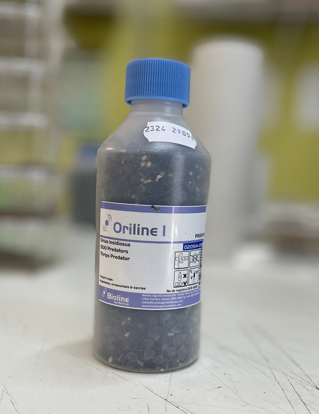 Bottle of Oriline, Orius thrips predators