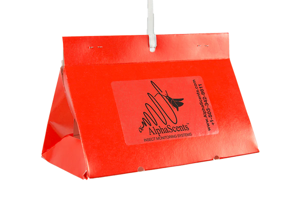 Paper Red delta insect trap 