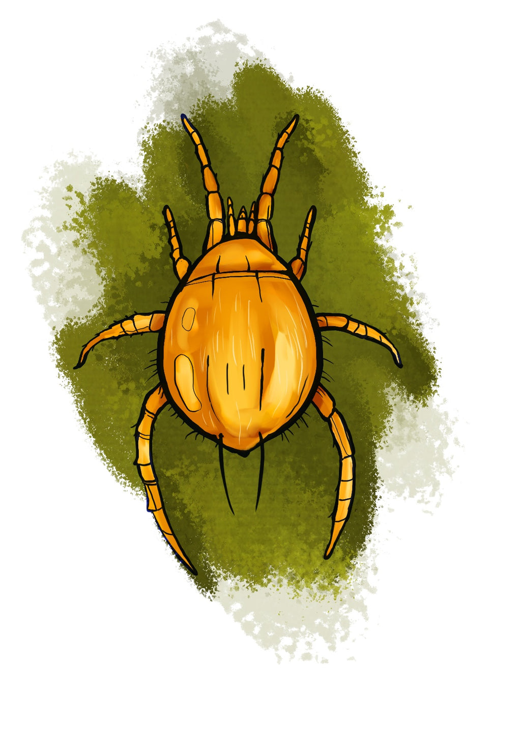 illustration of a predatory mite, persimilis