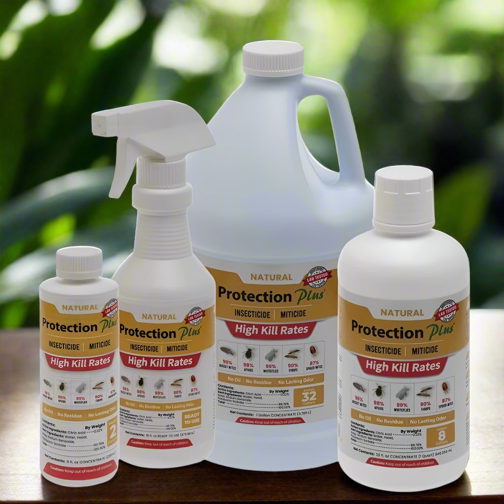 Protection Plus Insecticide bottles