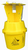yellow trap for japanese beetle