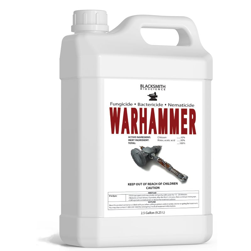 WarHammer bottle