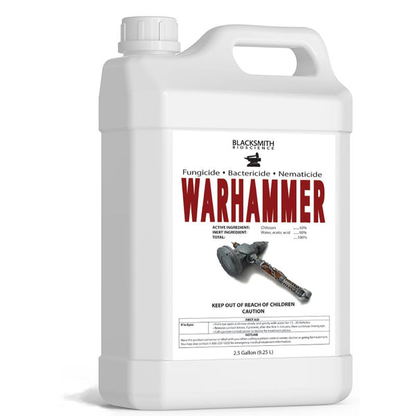 WarHammer bottle