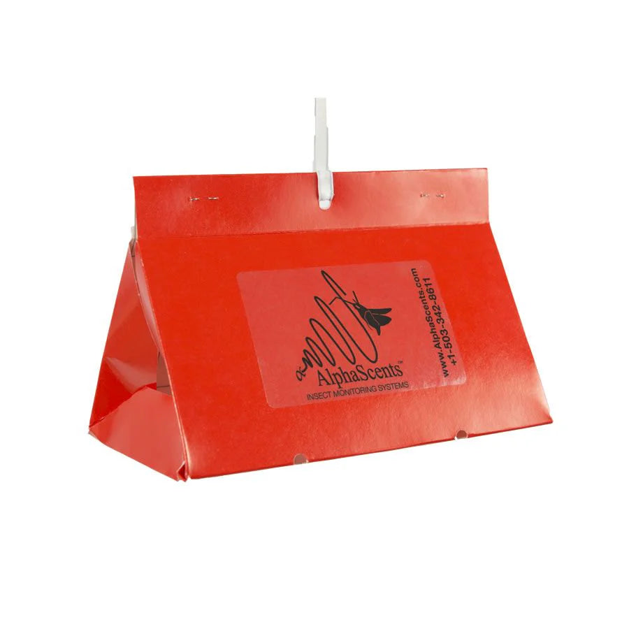 paper delta trap for pests