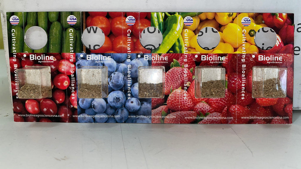 Bioline swirskii blister packs 