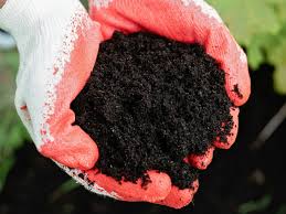Vermicastings - Soil Conditioner - Dancing Spirits Farm -  sound horticulture