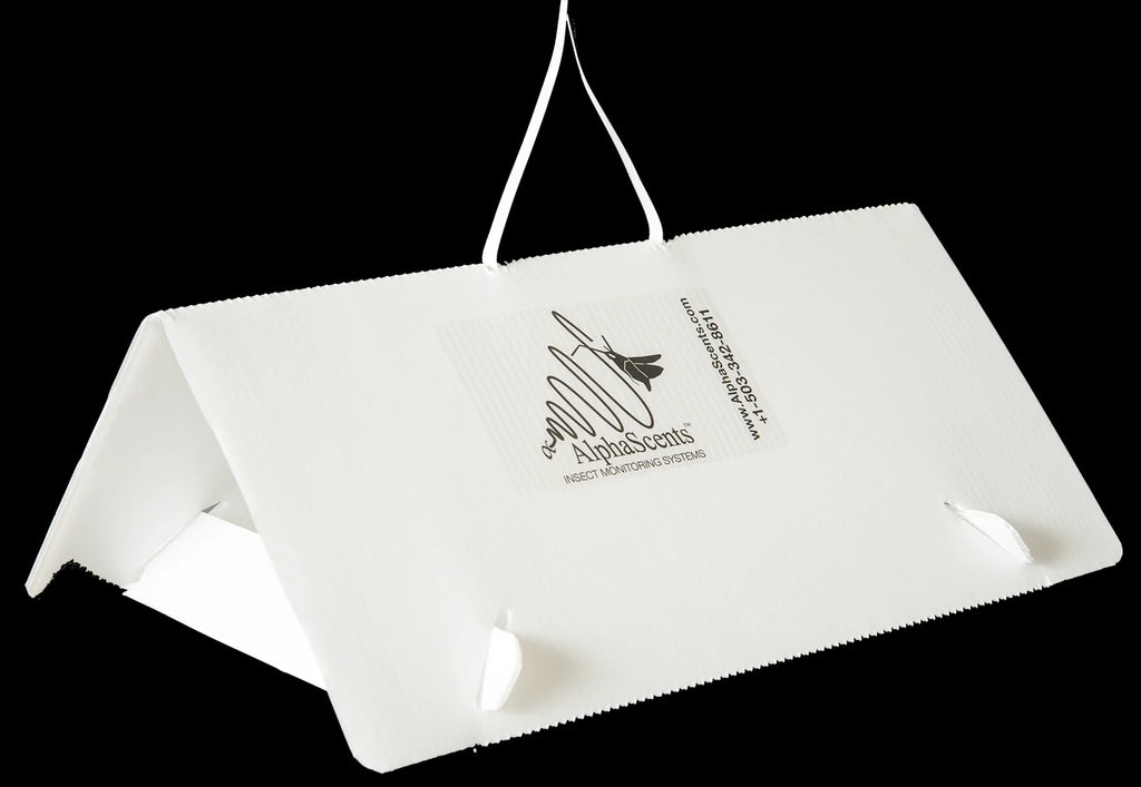 white plastic delta trap for pests