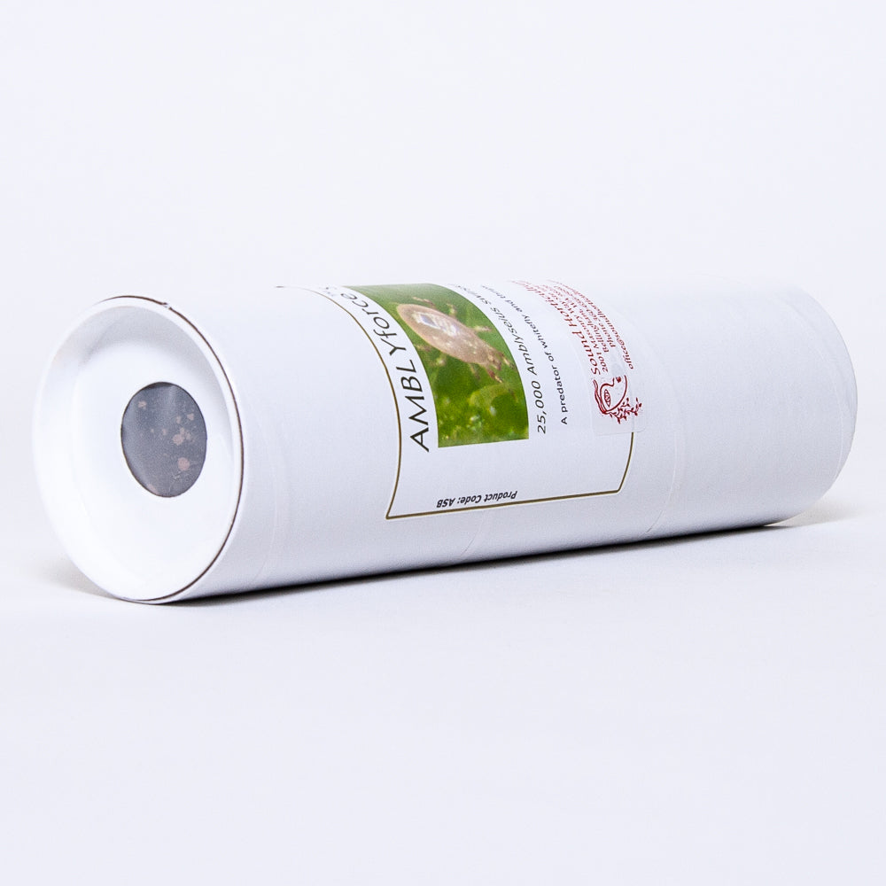 Amblyseius swirskii 25k tube