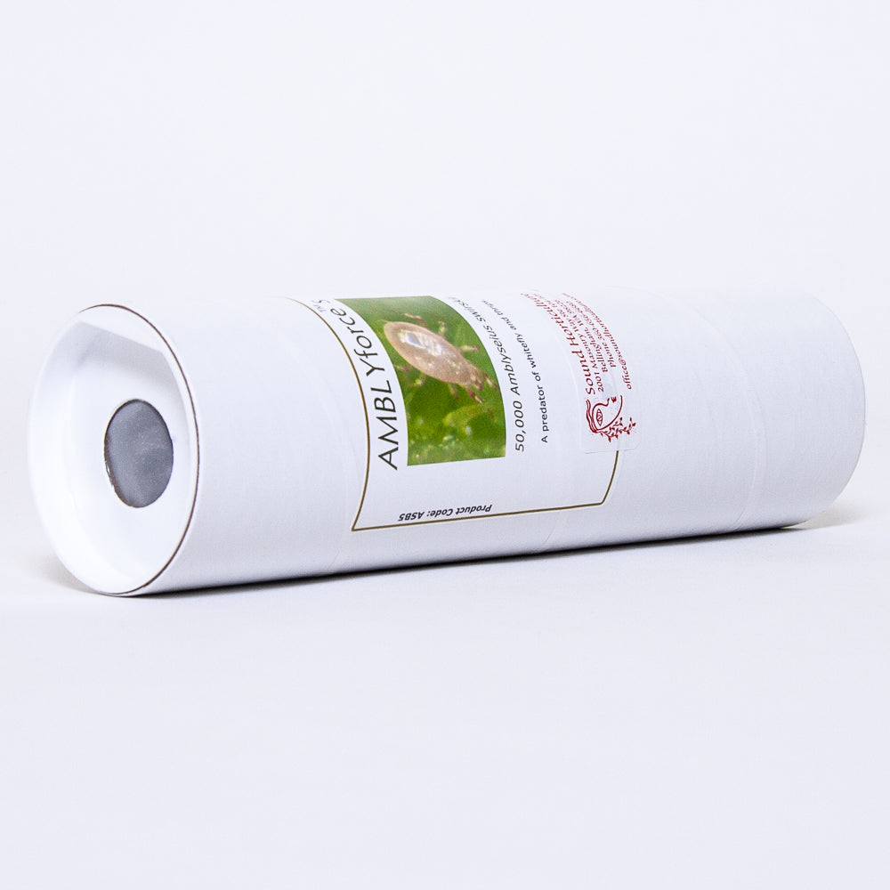 Amblysieus swirskii 50k tube