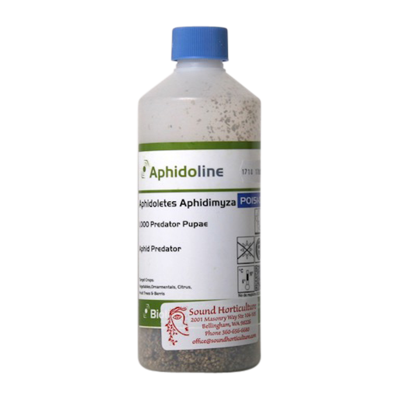 Aphidoletes aphidimyza 1L bottle