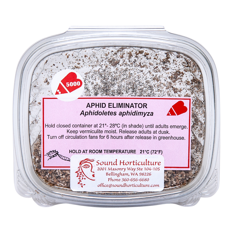 Aphidoletes aphidimyza 5k tray