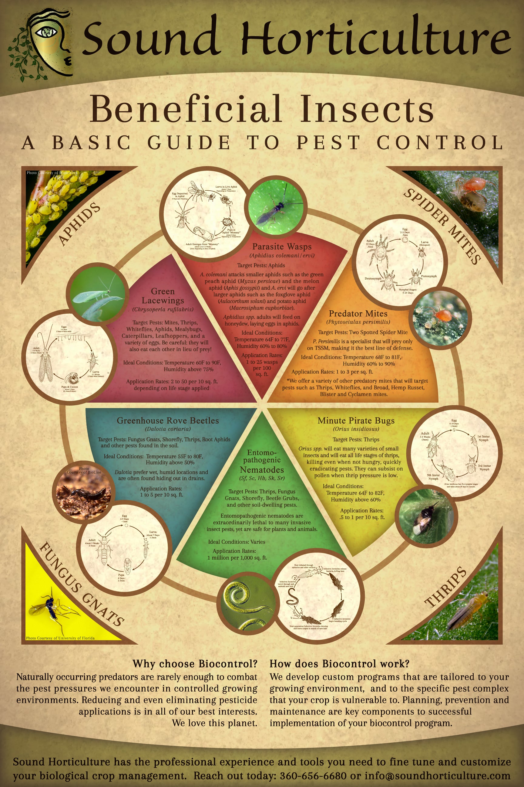 Predatory Insects Example Beneficial Insects Poster