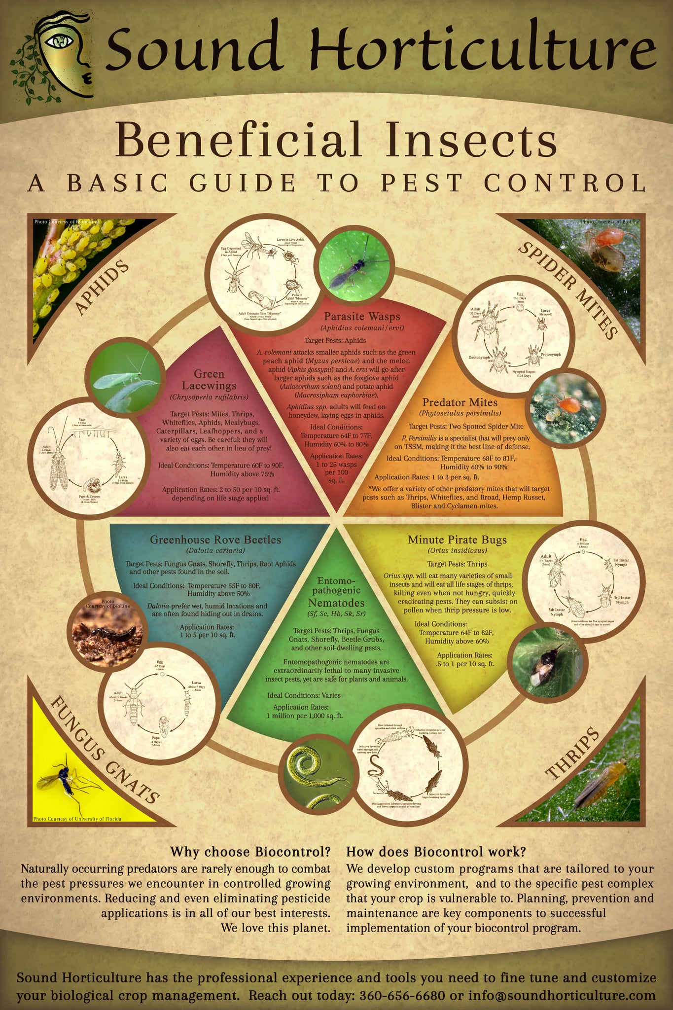 Beneficial Insects Poster Sound Horticulture