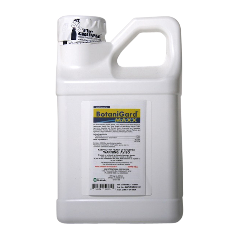 tobacco tea insecticide Budworm Control - Organic Solutions How To Make Natural Tobacco