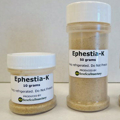 Ephestia bottles