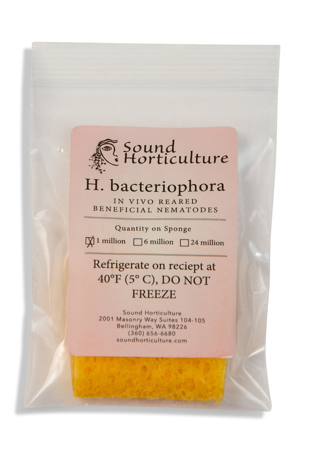 Heterorhabditis bacteriophora nematodes |  sound-horticulture.myshopify.com