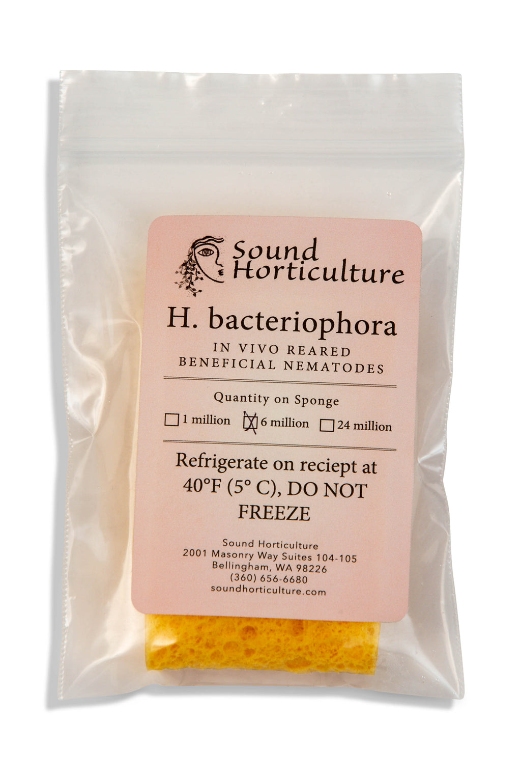 Nematode H bacteriophora package of 6 million