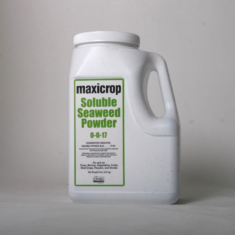 Maxicrip Soluble Seaweed powder 5lb container