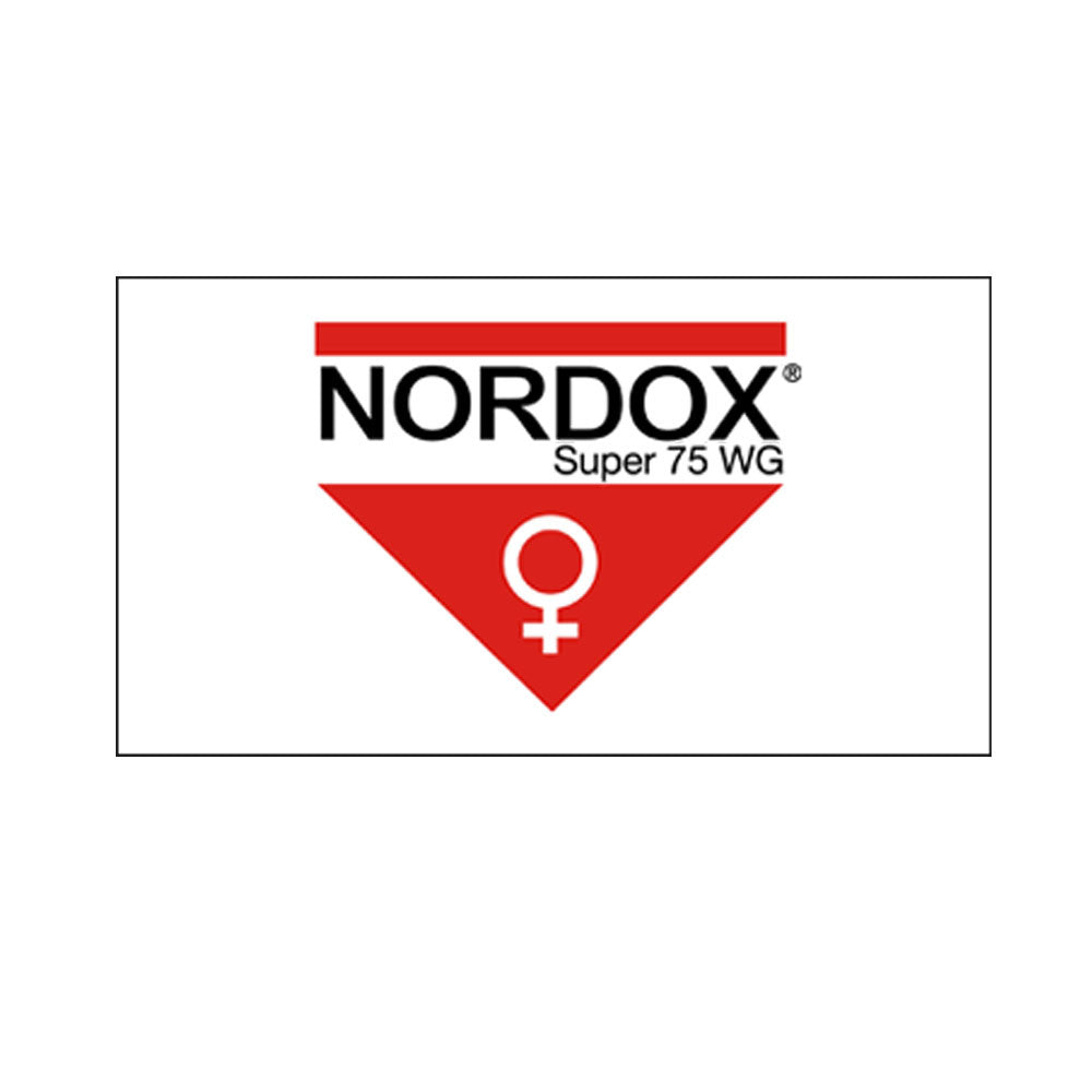 Nordox logo