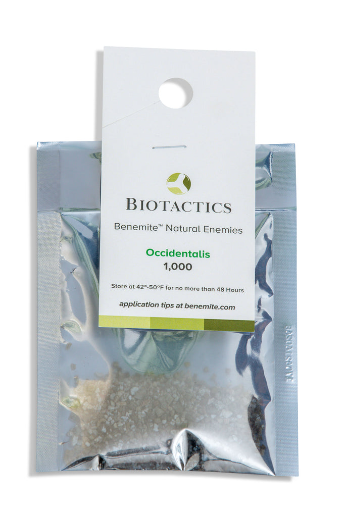 G occidentalis mite package of 1,000