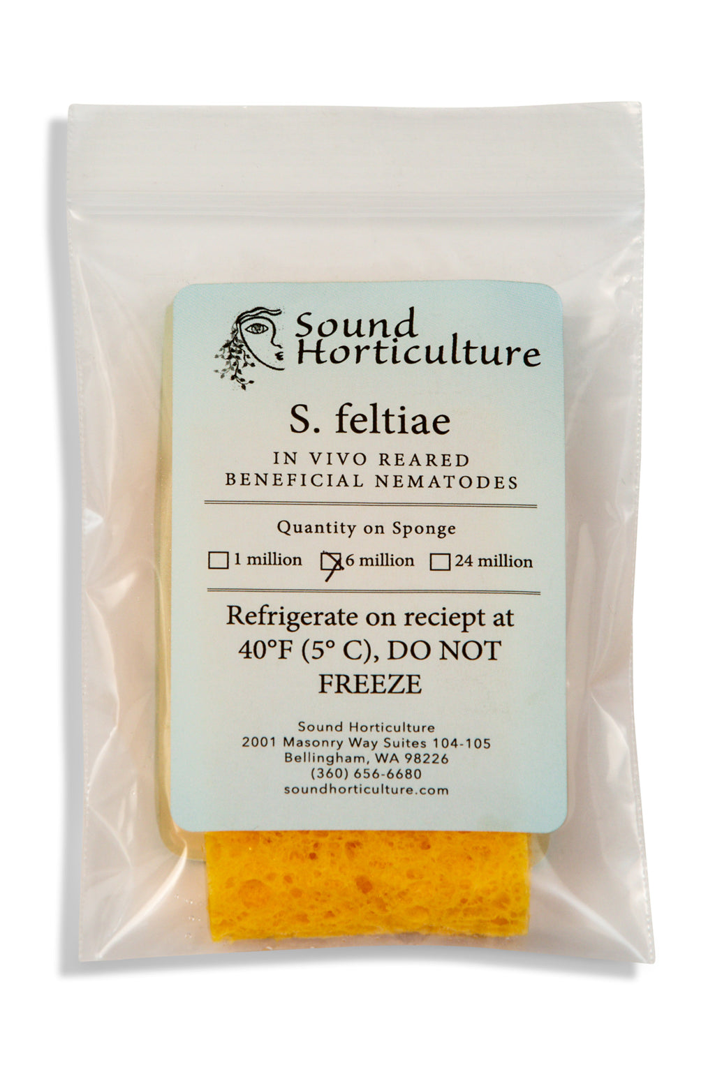 Nematode S feltiae package of 6 million