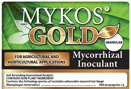 Mykos Gold Logo