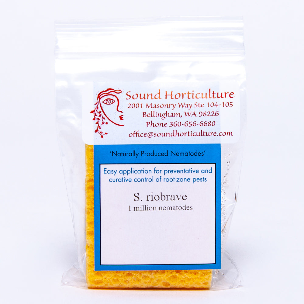 Steinernema riobrave nematodes |  sound-horticulture.myshopify.com